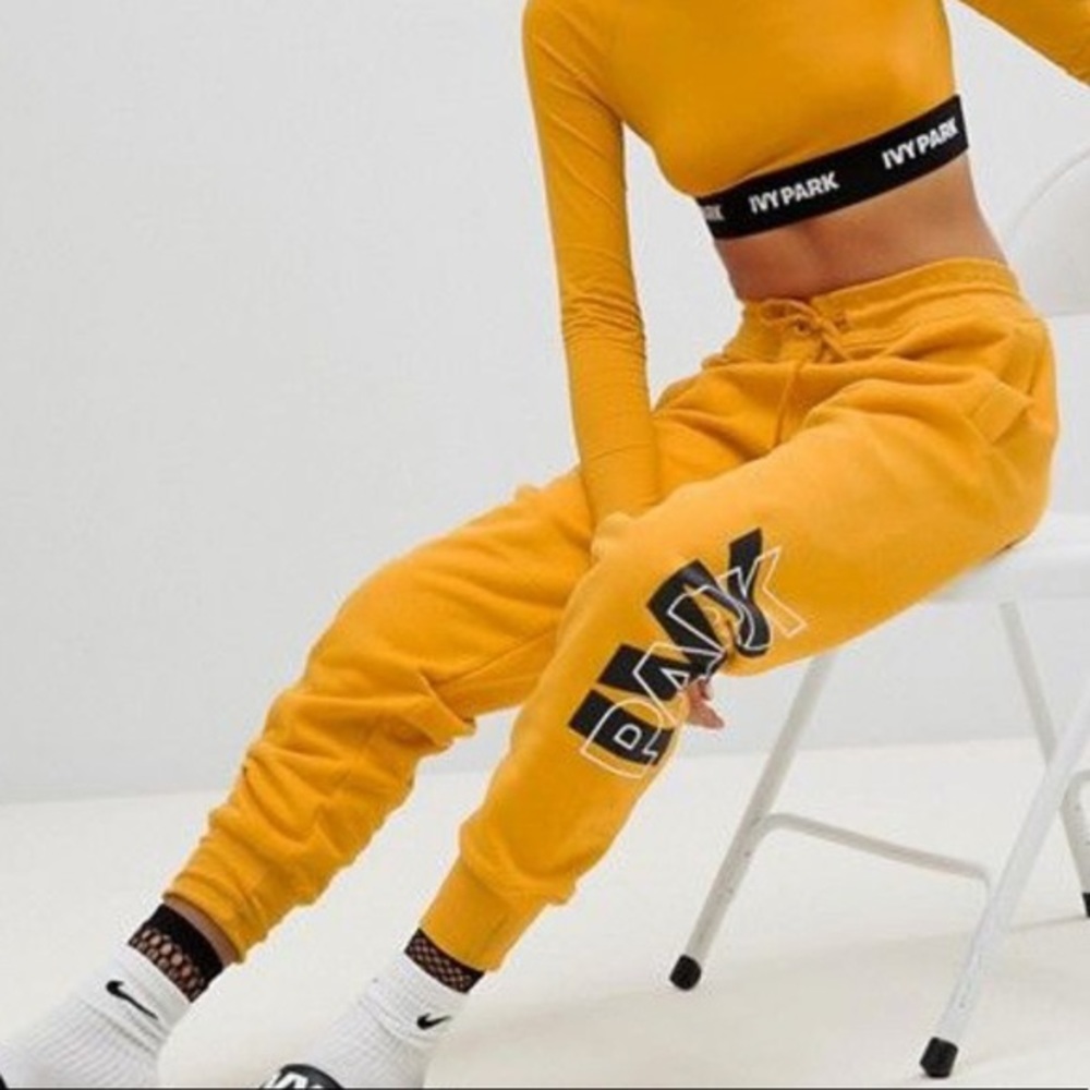Sold out everywhere IVY park sweatpants